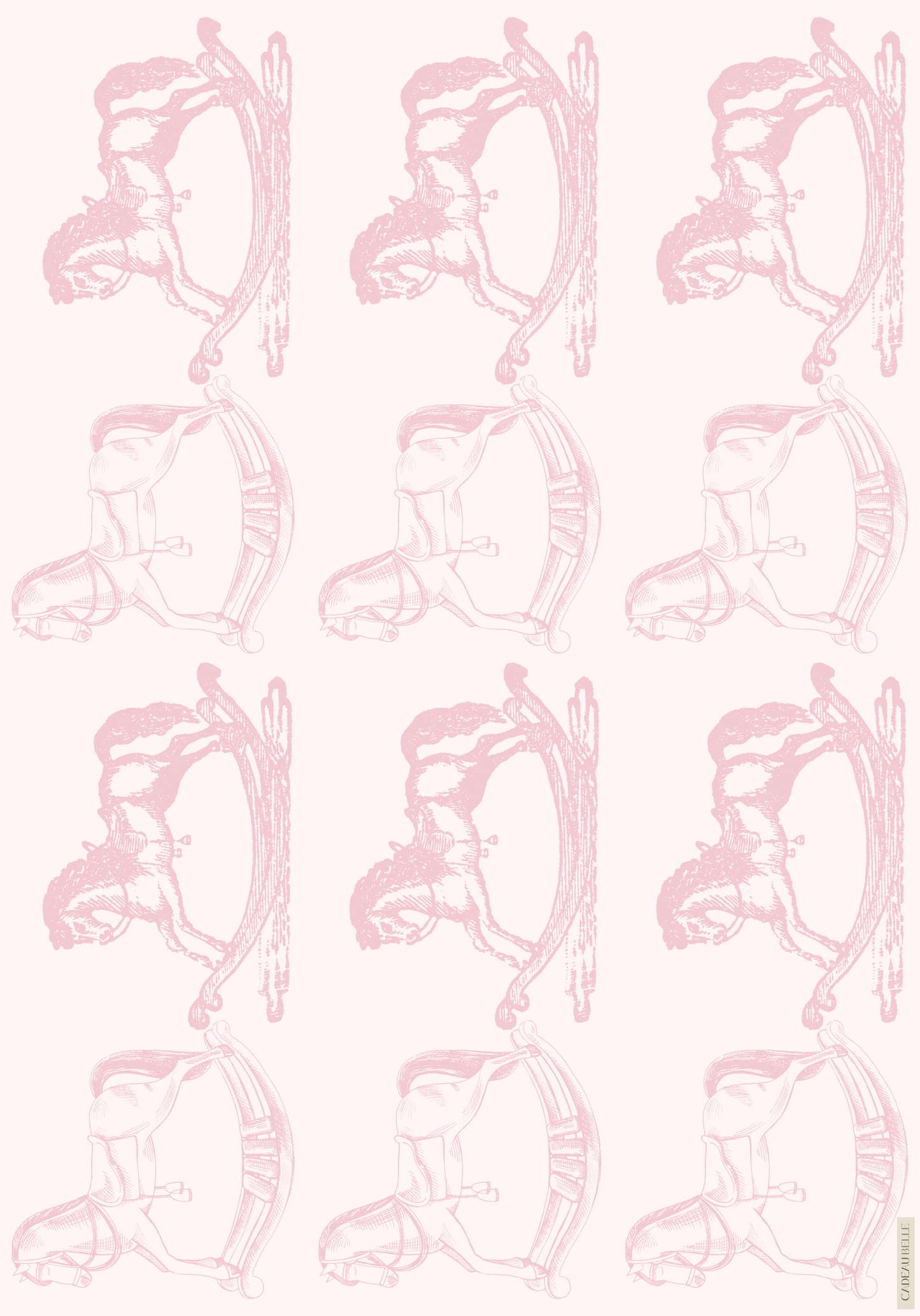 BAMBINO ROSA  Selection of 5