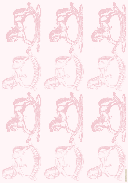 BAMBINO ROSA  Selection of 5