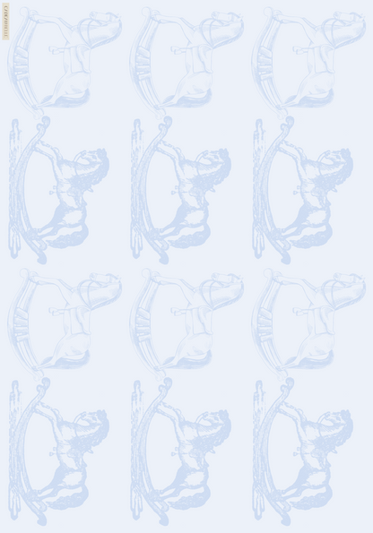 BAMBINO BLU Selection of 5