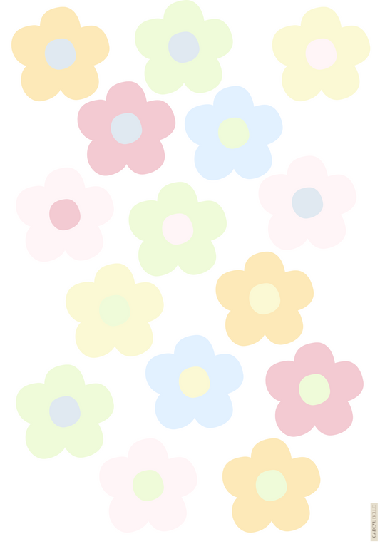 BAMBINO MISTA Selection of 5