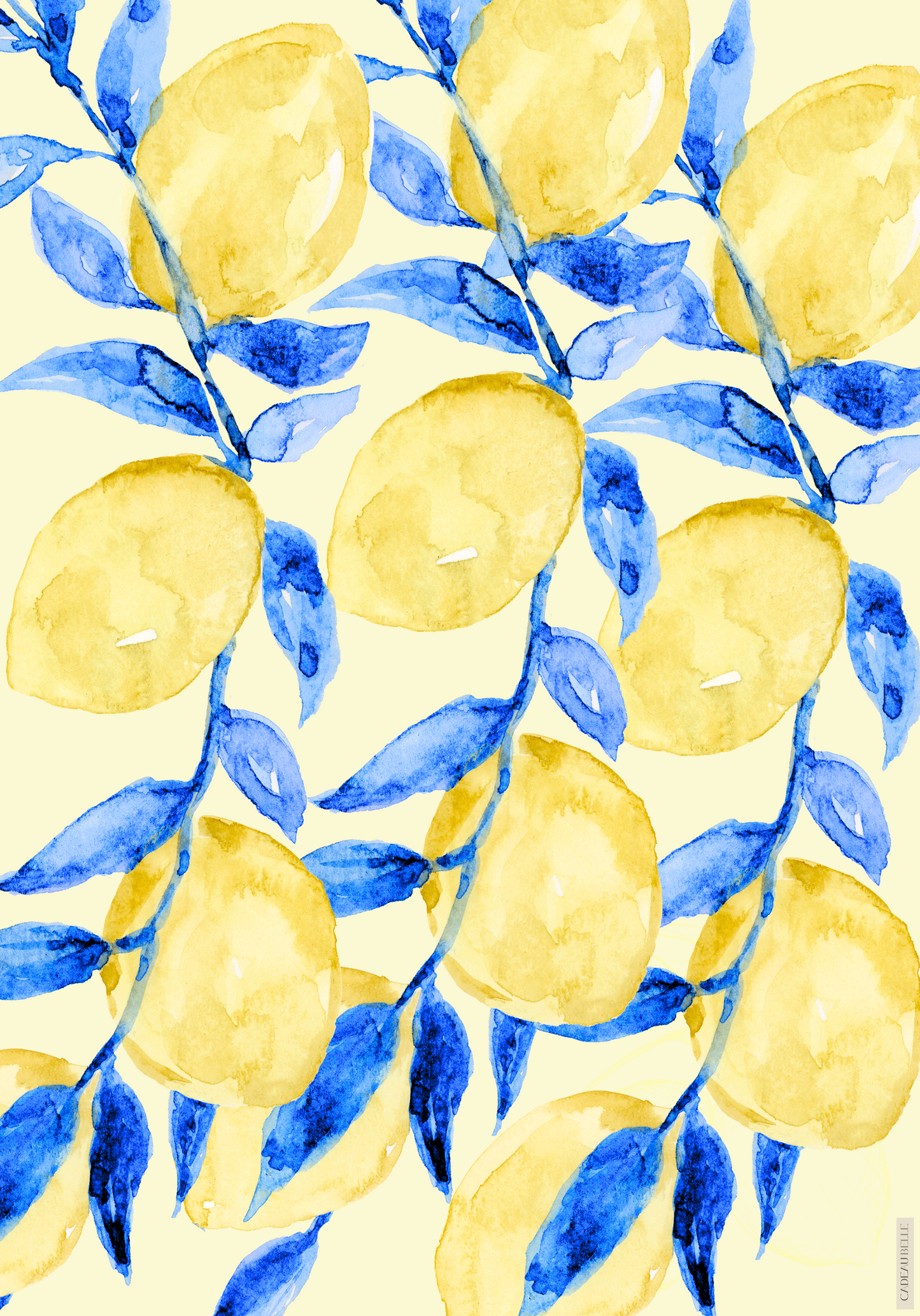 AMALFI IV Selection of 5