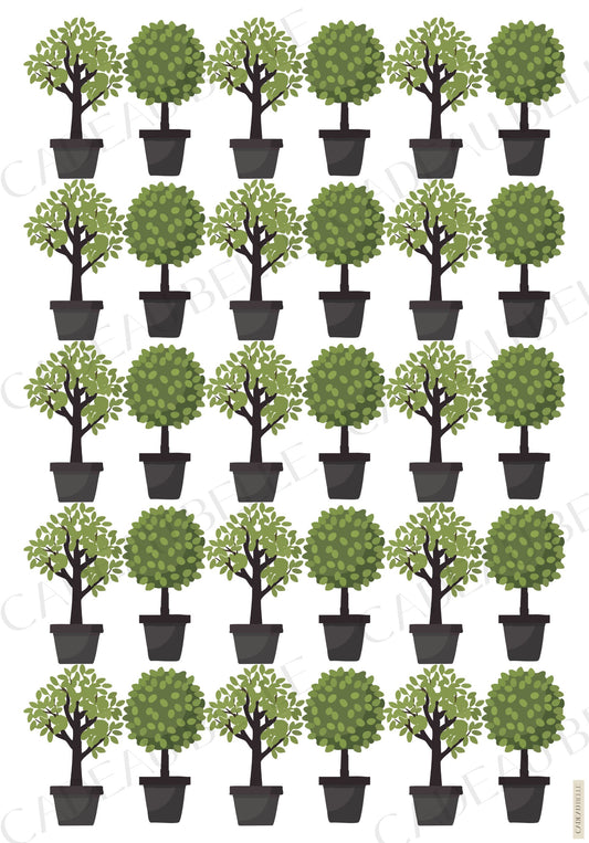 TOPIARY - Box of 5 sheets