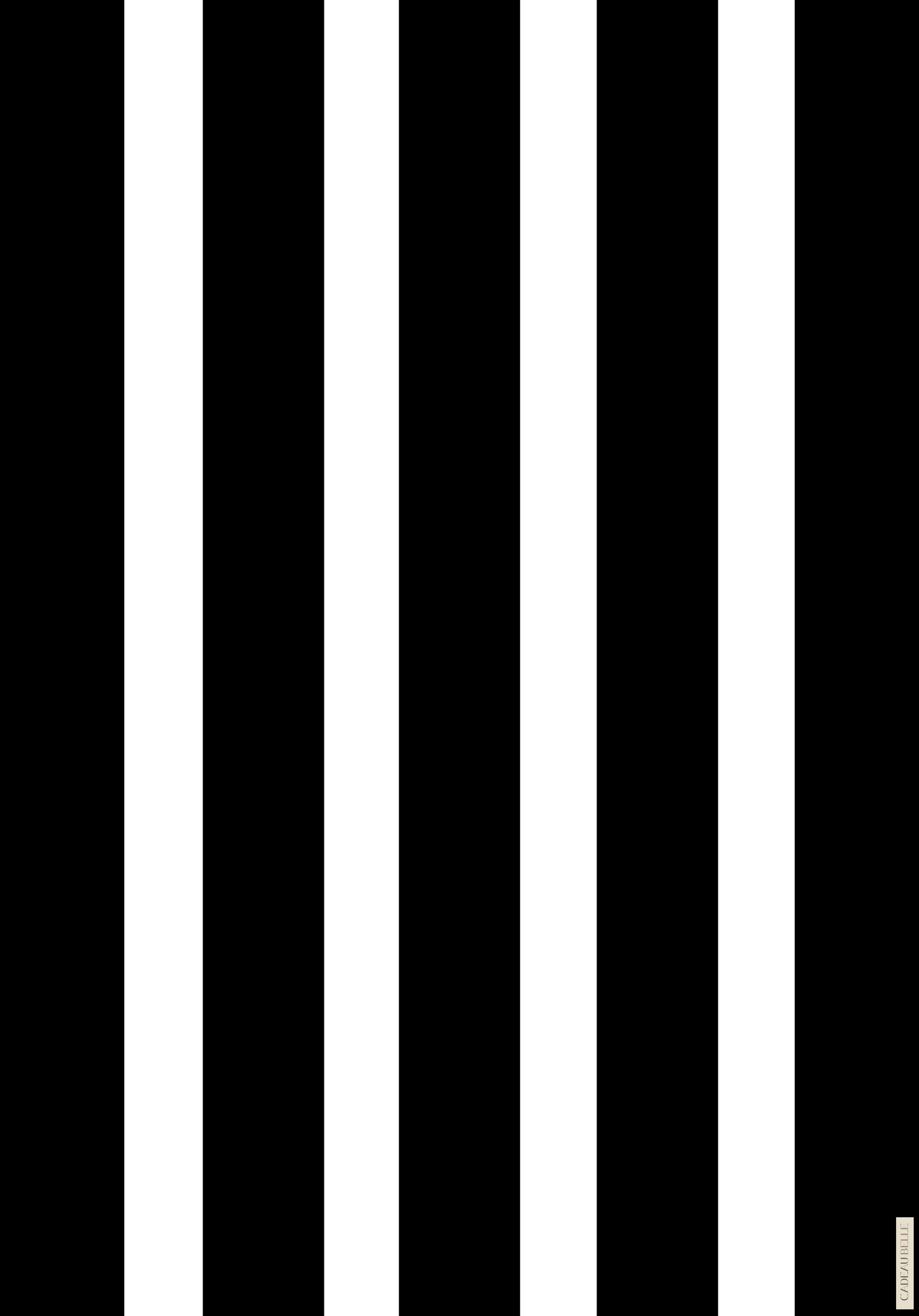 RAYURE NOIR - Box of 5 sheets