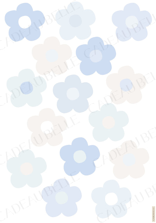 BAMBINO BLU - Selection of 5