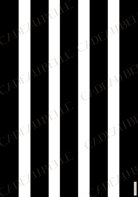 RAYURE NOIR - Box of 5 sheets